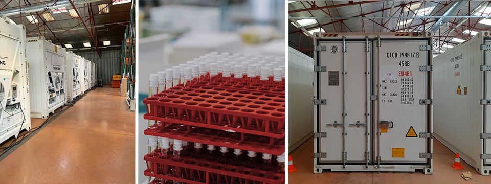 Rental solution provides safe cold storage of products for Covid vaccines