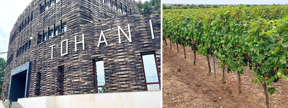 Fine wine: Trane Rental chillers help Romanian winery expand capacity