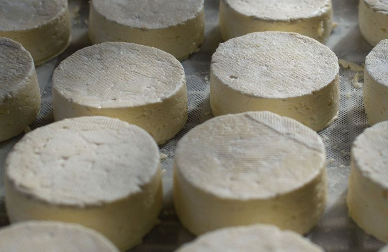 Precise low temperature system helps a French cheese manufacturer achieve a sustainable transition